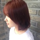 (주)레드오렌지 이미지