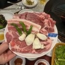 창원 상남 고기집 가성비 끝장나는 ‘부산갈매기 창원상남점’ 방문후기!