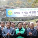 새마을 태양광발전소 이미지