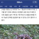 뱀도 미래 식량 될까…&#34;성장속도 빠르고 사료 효율도 높아&#34; 이미지