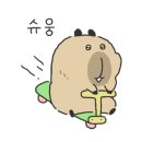 호랑티티 이미지