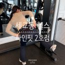 세교동 소로 3-9 | 세교동 헬스 찾고 있다면? 피티 잘하는 파인핏 2호점