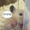 바람의언덕 동해타파스 와인&비어 이미지