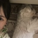 일 집 운동 두피관리 일 집 운동 두피관리 강아디