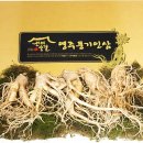 성덕인삼