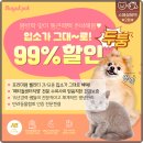 로얄펫 이미지