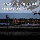 사진놀이 | 당진 합덕제 연꽃축제 낙화놀이 후기, 자리 팁과 관람 포인트
