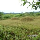 금마면-02 이미지