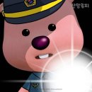 더 코드짐 이미지