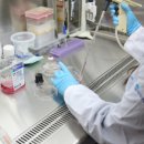 와이디바이오 이미지