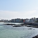 대풍미락횟집함덕본점 이미지