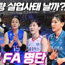 (여자배구) 다음 시즌 FA 명단 15명 .. 대량 실업사태 예고 .. 엄청난 빈부격차 이미지