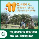 정읍종합관광안내센터 | 11월, 이달의 전북생태관광지 · 천리길! 정읍 솔티 달빛 생태숲!