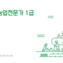 대안농장 | 도시농업전문가 1급, 도시 안에서 키우는 작은 농장이 주는 변화, 직접 경험한 과정 후기