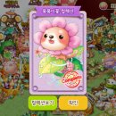 앨리스의꽃숲
