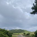 산호시장 이미지