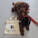 은해보조기 이미지