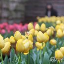 박지호농장 이미지