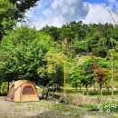 당평오토캠핑장 이미지