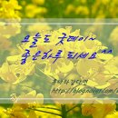티솜 이미지