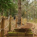 러브랜드미술관(휴관) | 제주 걷기좋은곳 한라수목원 겨울인데 가을같은 느낌