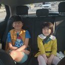 푸른아우성 구성애성교육 출장 그룹수업 김판길 강사님 후기