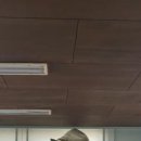 요산 김정한문학비 이미지