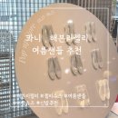해븐리젤리 여름 신발추천 여름샌들 콰니 젤리슈즈 캐리마켓 팝업