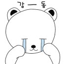 정다연헤어