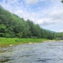 자연황토민박앞 이미지