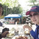 개미들솔향기야영장 이미지