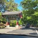 금강솔바람길 | [충남 공주] 천년고찰에서 느낀 자유시간 &#39;마곡사&#39;