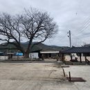 원용복마을 이미지