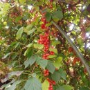 옥이네농장 이미지