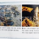 몰드와캐스트 이미지