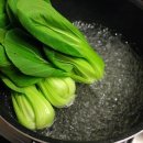 올데이피티 이미지