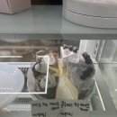 이오케이크
