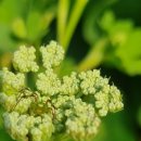 남조봉공원 이미지