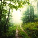 세븐에이치 이미지