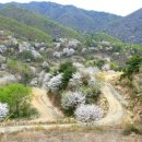 벌교원동 이미지