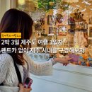 제주도그녀커피 | 2박 3일 제주도 여행 1일차 | 렌트카 없이 제주 연동 시내 구경