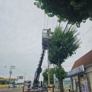 창녕대로 이미지