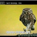 블랙헤이즐