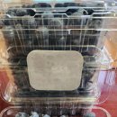 해오름농장 이미지