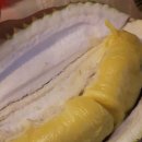 안단테민박 이미지