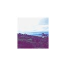 오일사