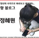 남원 백두대간 힐링 캠핑장 이미지