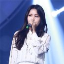 솔라 이미지