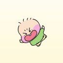 쌍용자동차동김해서비스프라자 | 베트남 [다낭] 태교여행 후기