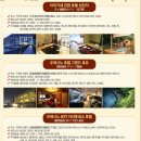 현대하나여행주 이미지
